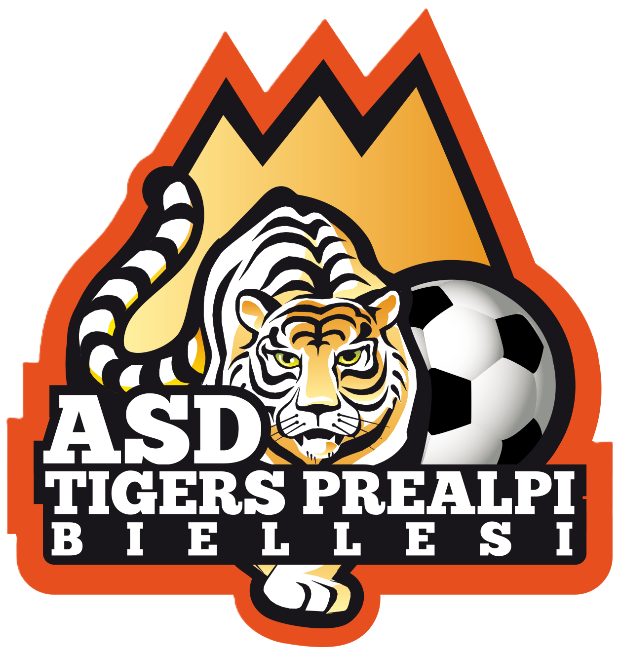 ASD Tigers Biellesi LOGO